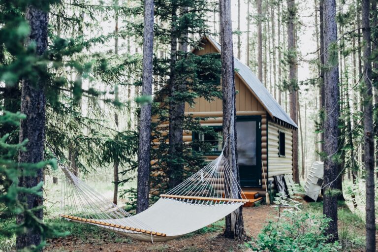 Cabin getaway in Washington State – Head to Packwood